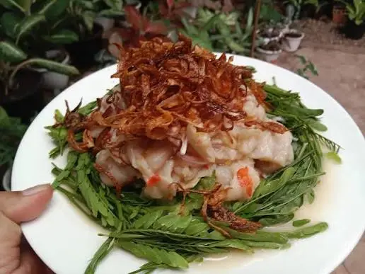 ភ្លាបង្គាកន្ធំថេត